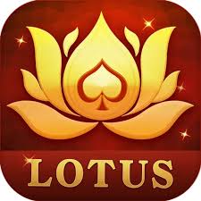 teen patti 3poker winner download